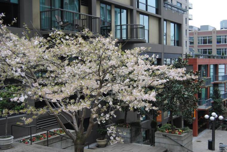 1966861_10202825741177994_2121498407_n