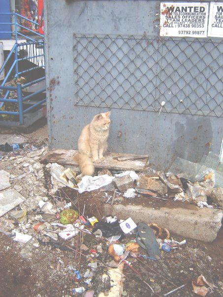 7727_1214496115947_6434256_n