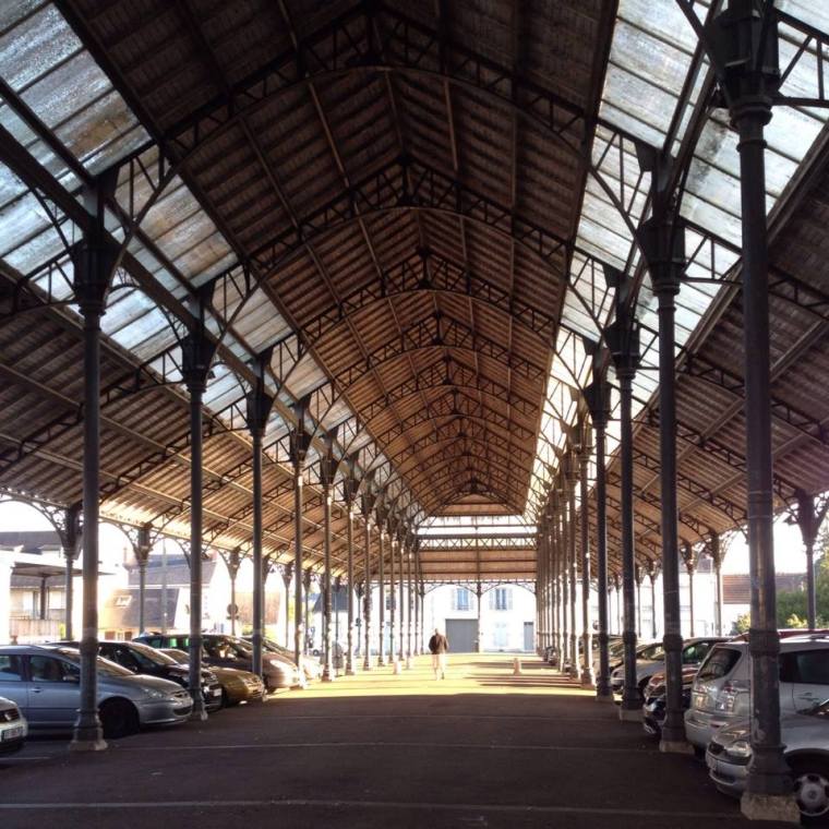 10671227_10203956794373617_6795077545084061481_n