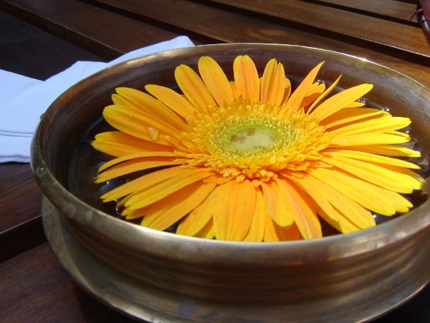 1936606_1214499596034_2949039_n